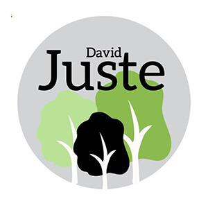 David Juste